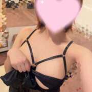 ヒメ日記 2026/04/01 16:45 投稿 めり Fの法則