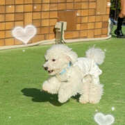 ヒメ日記 2025/05/14 00:44 投稿 なこ ビギナーズ和歌山