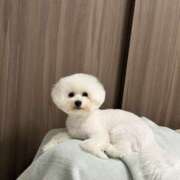 ヒメ日記 2026/02/23 18:02 投稿 なこ ビギナーズ和歌山