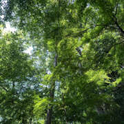 ヒメ日記 2025/10/09 07:07 投稿 れいら ハピネス東京