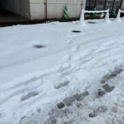 ヒメ日記 2025/11/11 10:29 投稿 れいら ハピネス東京