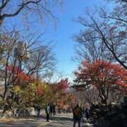 ヒメ日記 2025/12/03 06:47 投稿 れいら ハピネス東京