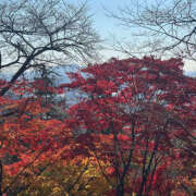 ヒメ日記 2025/12/05 10:17 投稿 れいら ハピネス東京