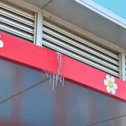 ヒメ日記 2025/12/06 07:07 投稿 れいら ハピネス東京