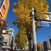 ヒメ日記 2025/12/10 09:07 投稿 れいら ハピネス東京