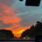 ヒメ日記 2026/04/15 11:24 投稿 れいら ハピネス東京