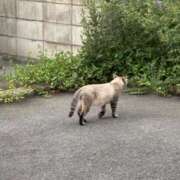 ヒメ日記 2025/07/16 09:44 投稿 まなみ ドンファン