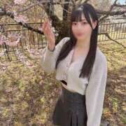 ヒメ日記 2025/04/12 14:18 投稿 しろ 神栖レッドダイヤ