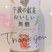 ヒメ日記 2025/03/14 09:07 投稿 りこ Lip Trip