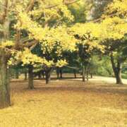 りこ 出勤のお知らせ❤️ Lip Trip