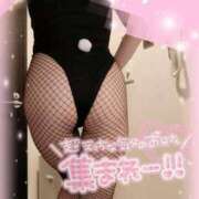 ヒメ日記 2025/06/28 18:06 投稿 ラナ ドMなバニーちゃん すすきの店