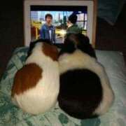 ヒメ日記 2024/12/17 08:27 投稿 水瀬ゆい サクラ（すすきの）