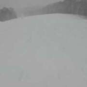 ヒメ日記 2025/01/29 20:34 投稿 水瀬ゆい サクラ（すすきの）