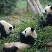 ヒメ日記 2025/02/22 13:36 投稿 水瀬ゆい サクラ（すすきの）