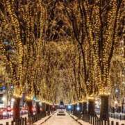 ヒメ日記 2025/02/26 06:48 投稿 水瀬ゆい サクラ（すすきの）