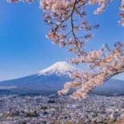 ヒメ日記 2025/03/01 06:33 投稿 水瀬ゆい サクラ（すすきの）