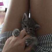 ヒメ日記 2025/03/08 06:06 投稿 水瀬ゆい サクラ（すすきの）