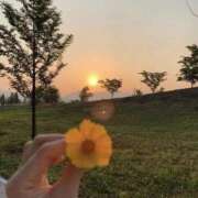 ヒメ日記 2025/04/19 10:19 投稿 水瀬ゆい サクラ（すすきの）