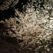 ヒメ日記 2025/05/04 06:33 投稿 水瀬ゆい サクラ（すすきの）