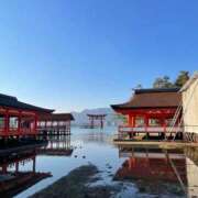 ヒメ日記 2025/05/04 21:19 投稿 水瀬ゆい サクラ（すすきの）