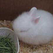 ヒメ日記 2025/05/15 14:33 投稿 水瀬ゆい サクラ（すすきの）