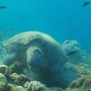 ヒメ日記 2025/05/25 12:48 投稿 水瀬ゆい サクラ（すすきの）