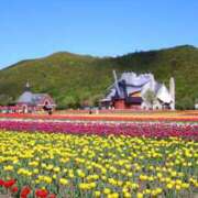 ヒメ日記 2025/06/02 10:33 投稿 水瀬ゆい サクラ（すすきの）