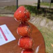 ヒメ日記 2025/07/26 19:27 投稿 水瀬ゆい サクラ（すすきの）