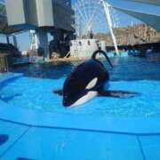 ヒメ日記 2025/08/04 17:57 投稿 水瀬ゆい サクラ（すすきの）