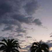 ヒメ日記 2025/08/06 12:36 投稿 水瀬ゆい サクラ（すすきの）