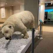 ヒメ日記 2025/08/08 19:36 投稿 水瀬ゆい サクラ（すすきの）