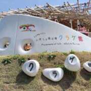 ヒメ日記 2025/08/11 06:57 投稿 水瀬ゆい サクラ（すすきの）