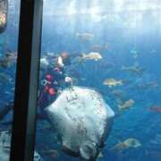 ヒメ日記 2025/08/24 22:39 投稿 水瀬ゆい サクラ（すすきの）