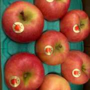 ヒメ日記 2024/12/13 07:28 投稿 松美 沙耶 名古屋貴楼館