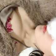 ヒメ日記 2025/01/11 22:18 投稿 松美 沙耶 名古屋貴楼館