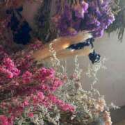 ヒメ日記 2025/03/04 14:58 投稿 松美 沙耶 名古屋貴楼館