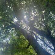 ヒメ日記 2025/04/14 07:33 投稿 松美 沙耶 名古屋貴楼館