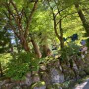 ヒメ日記 2025/05/01 06:08 投稿 松美 沙耶 名古屋貴楼館