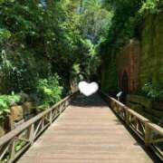 ヒメ日記 2025/05/14 20:08 投稿 松美 沙耶 名古屋貴楼館