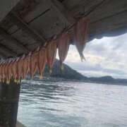 ヒメ日記 2025/09/16 22:38 投稿 松美 沙耶 名古屋貴楼館