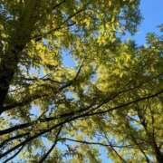 ヒメ日記 2025/10/24 10:08 投稿 松美 沙耶 名古屋貴楼館