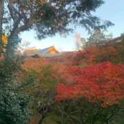 ヒメ日記 2025/11/29 08:58 投稿 松美 沙耶 名古屋貴楼館