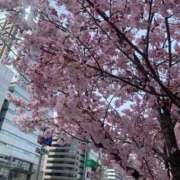 ヒメ日記 2026/03/22 19:38 投稿 松美 沙耶 名古屋貴楼館