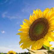 ヒメ日記 2025/06/29 13:44 投稿 このみ 出会い系人妻ネットワーク さいたま～大宮編