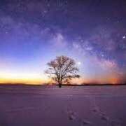 ヒメ日記 2025/07/17 23:47 投稿 このみ 出会い系人妻ネットワーク さいたま～大宮編