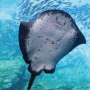 ヒメ日記 2025/07/21 20:59 投稿 このみ 出会い系人妻ネットワーク さいたま～大宮編