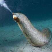 ヒメ日記 2025/07/29 23:48 投稿 このみ 出会い系人妻ネットワーク さいたま～大宮編