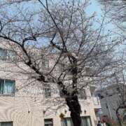 ヒメ日記 2025/03/29 12:32 投稿 山城あみ 西川口風俗ド淫乱ンド