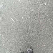 ヒメ日記 2025/03/19 15:41 投稿 とも美 いちべえ