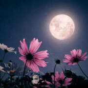 ヒメ日記 2025/09/25 14:51 投稿 とも美 いちべえ